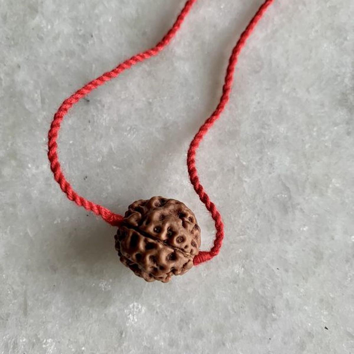 Rudraksha
