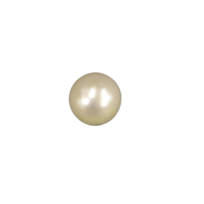 Pearl / Moti